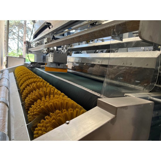 Otomatik Halı Yıkama Makinesi ALP 2500 F10