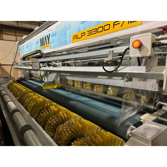 Otomatik Halı Yıkama Makinesi ALP 3300 F12