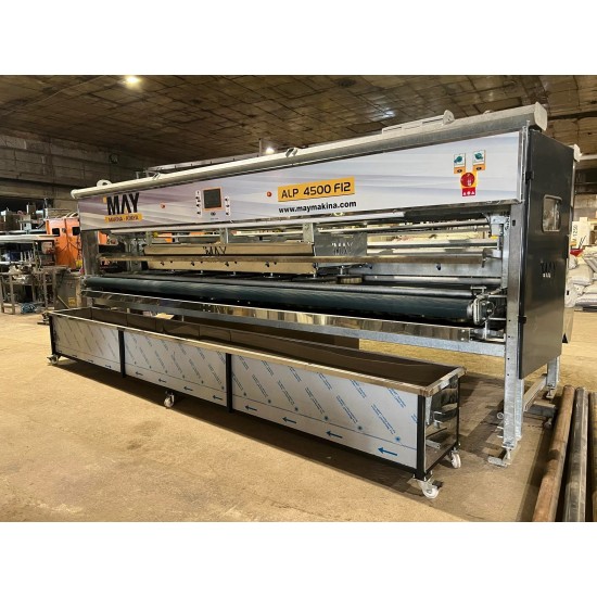 Otomatik Halı Yıkama Makinesi ALP 4500 F12