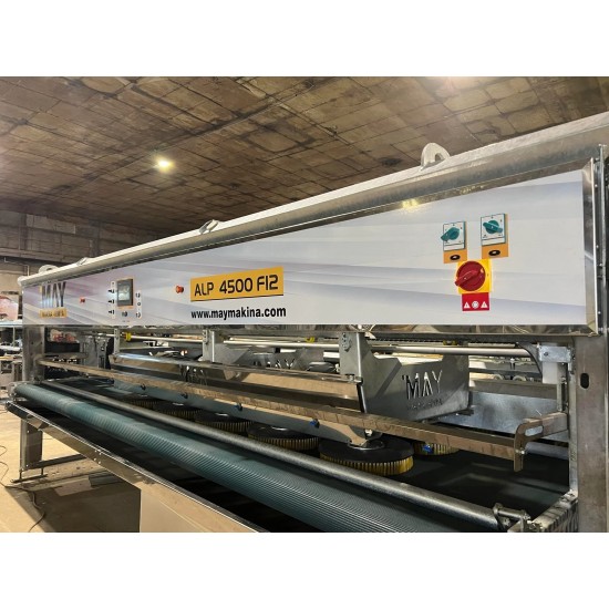 Otomatik Halı Yıkama Makinesi ALP 4500 F12